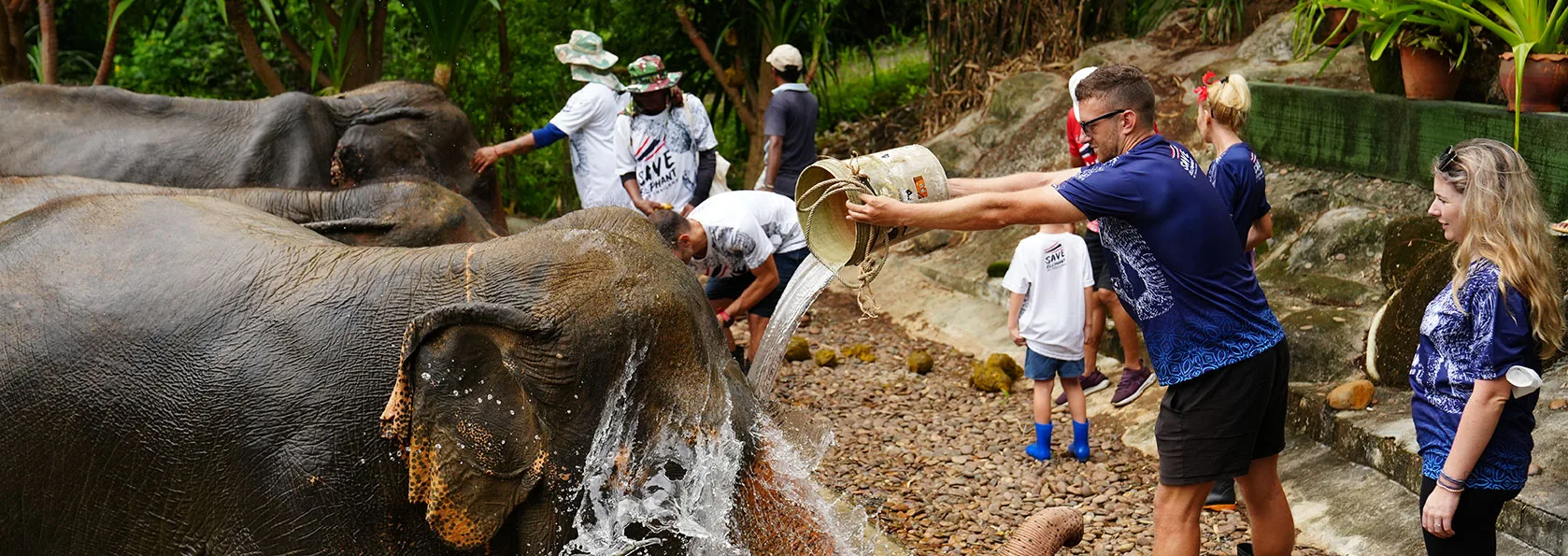 Elephant and adventure activities in Phuket