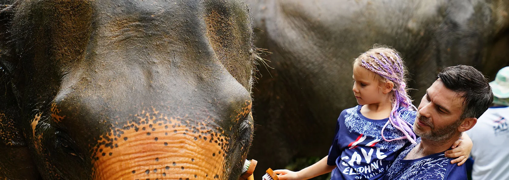 Photo gallery of elephant care and ATV adventures at Save Elephant of Thailand, Phuket