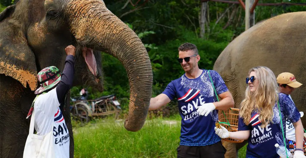 Feeding and bathing elephants in Phuket, Thailand
