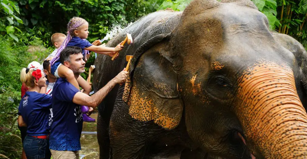 Elephant sanctuary experience for families in Phuket