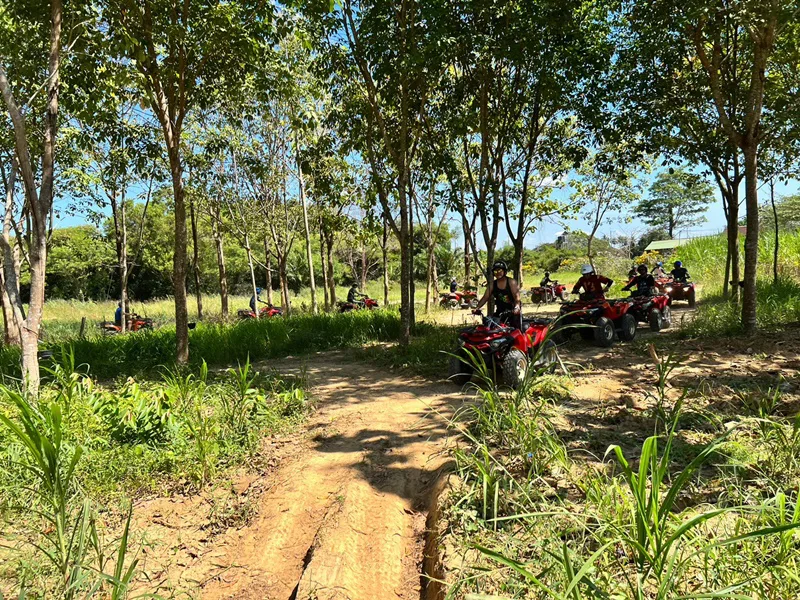 Tour en quad guidé sur sentier de jungle à Phuket