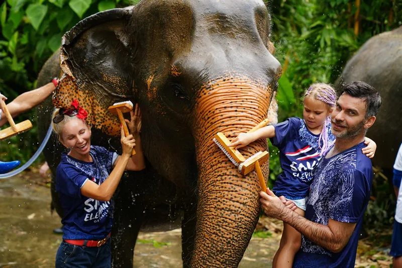 Elephant muddy spa experience in Phuket