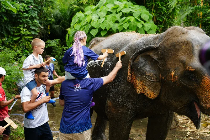 Elephant bathing and muddy spa program in Phuket