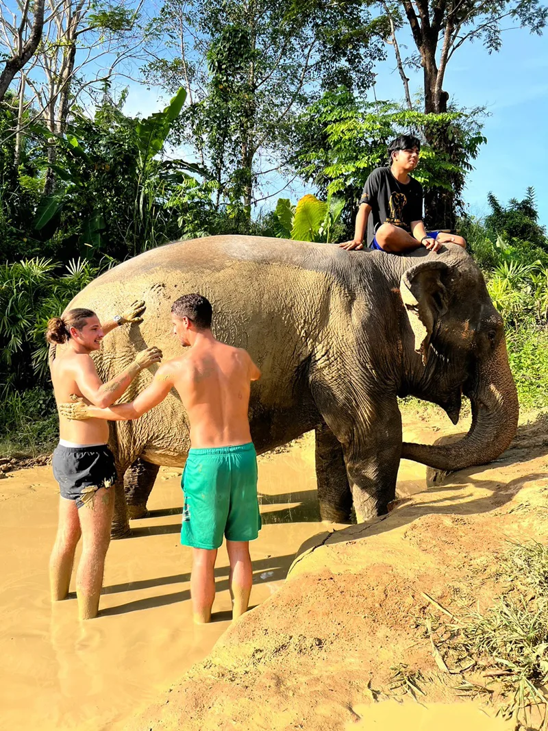 Muddy spa elephant care session in Phuket
