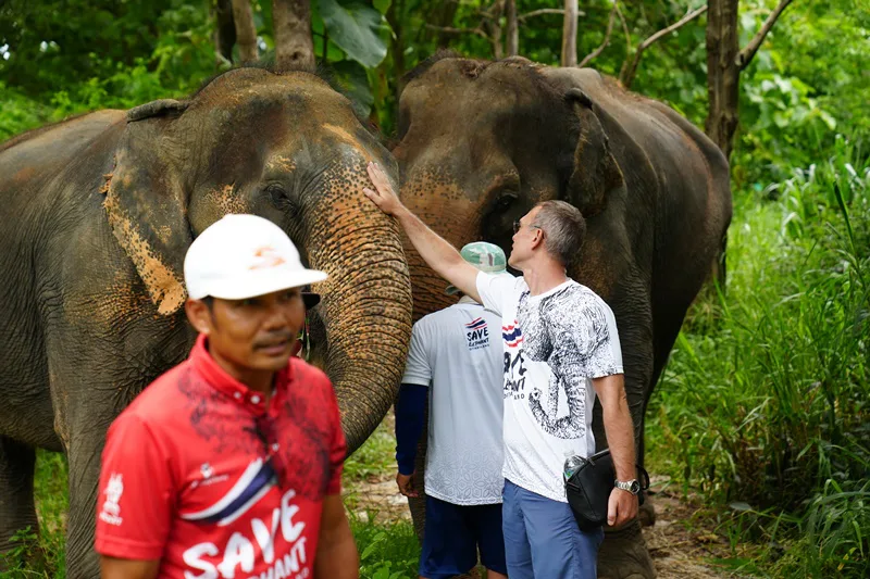 Soin des éléphants à Phuket avec nourrissage et observation