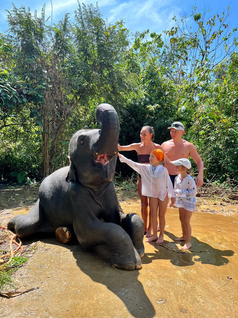 Observation and interaction during elephant care experience in Phuket