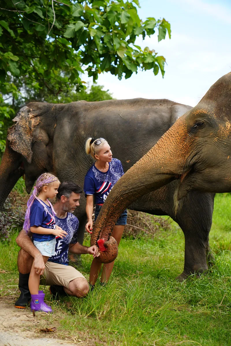 Elephant feeding program 30 minutes in Phuket
