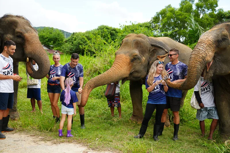 Family-friendly elephant feeding activity in Phuket