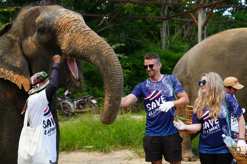 Guests feeding elephants at Save Elephant of Thailand in Phuket