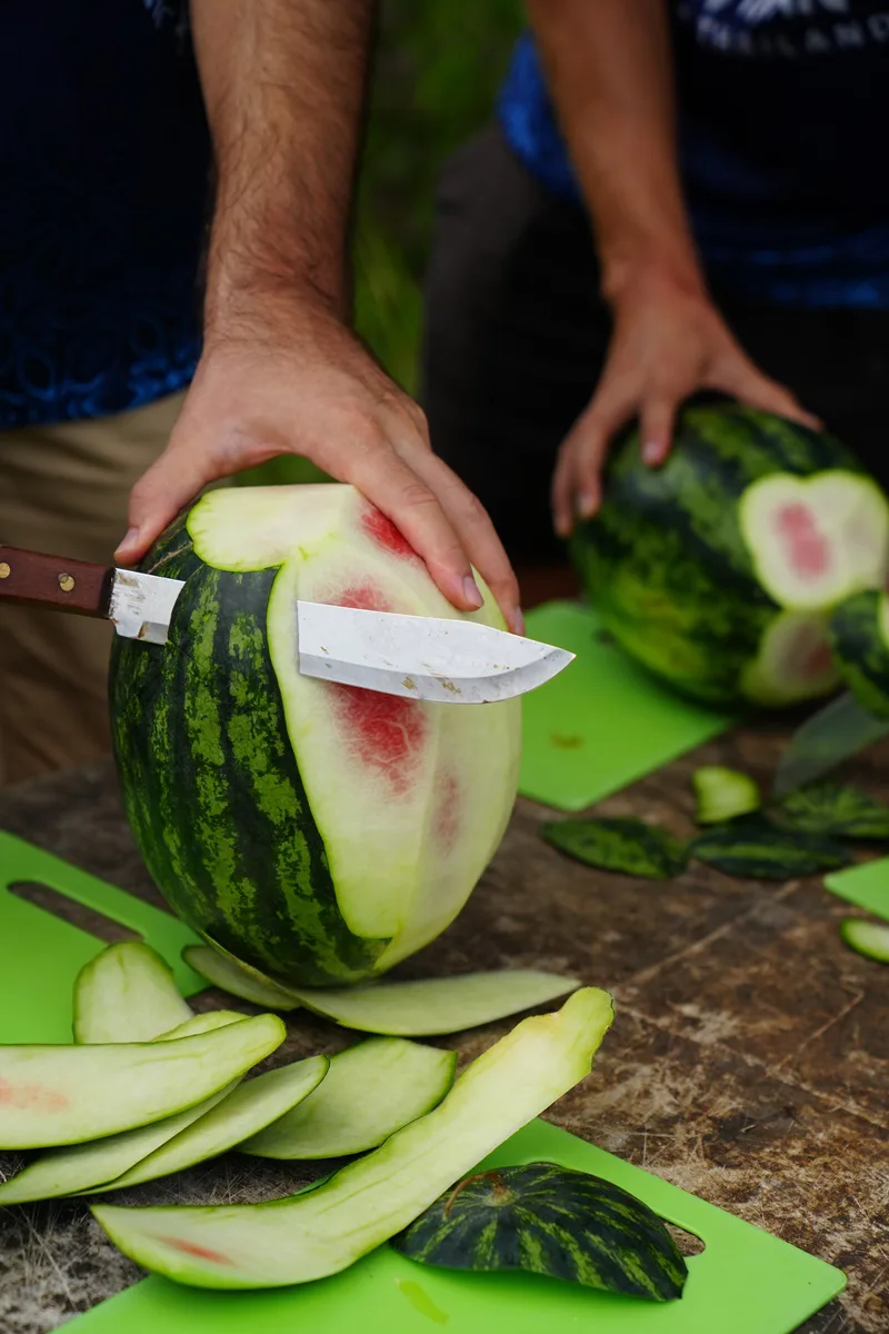 Preparing fruit baskets for elephant feeding in Phuket camp