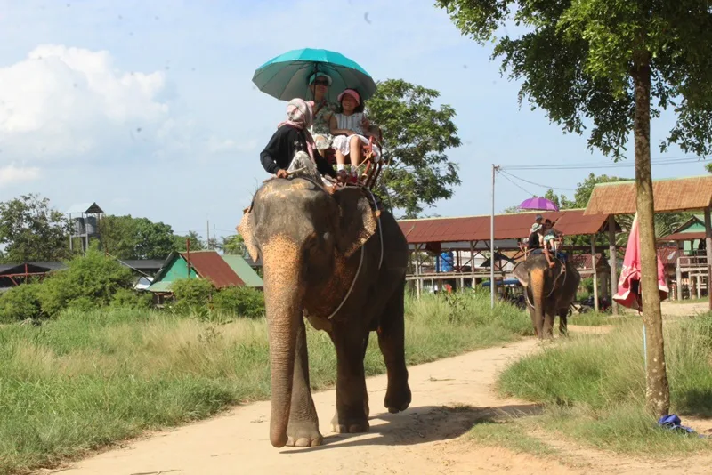 Family enjoying elephant trek in Rawai Phuket
